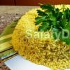 Закуска из коржей: пошаговый рецепт с фото Салат из готовых коржей наполеон