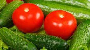 Sådan syner agurker, tomater, hvad ville smag som en tønde, hvis der ikke er tønder i en by lejlighed?