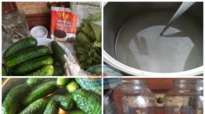Spicy pickled cucumbers for the winter - a step by step recipe with a photo of snacks