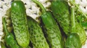 Dream interpretation pick fresh green cucumbers from the garden