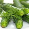 Instant Salted Cucumbers