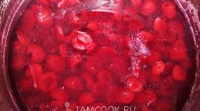 Simple recipes for cherry jelly for the winter. Pitted felt cherry jelly.