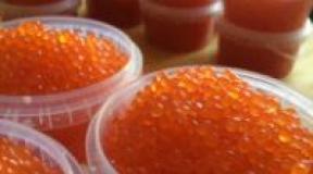 What fish caviar is the most delicious - choose red caviar