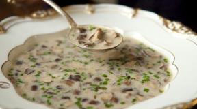 Vyatka svampesuppe (duftende svampesuppe) Opskrift på stegte svampe svampe