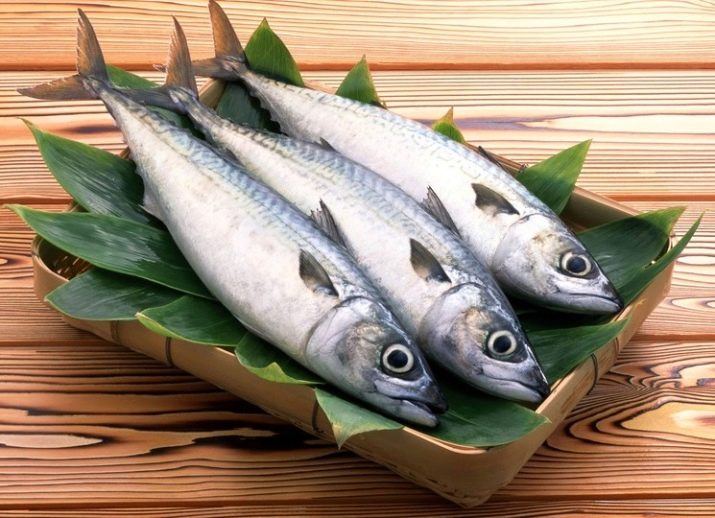 Fried herring in a pan