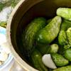 Canned cucumbers without salt recipe