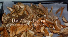 Boletus mushrooms for the winter: methods and recipes for preparations