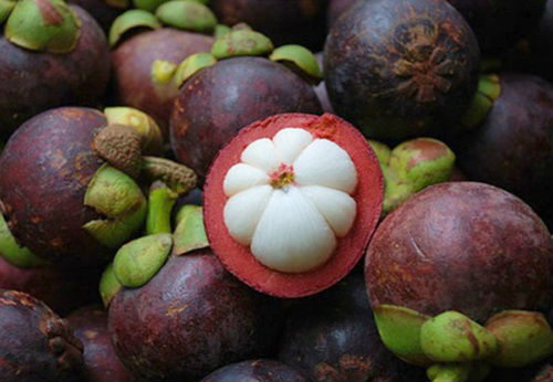Tropical sweetness: mangosteen fruit and its beneficial properties for human health