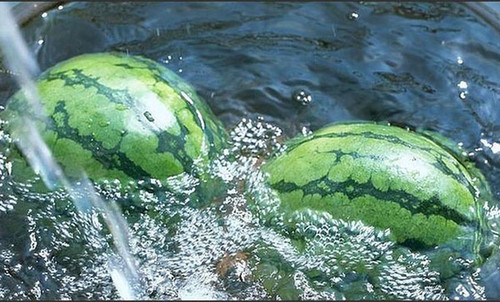 Delicious recipes for harvesting watermelon