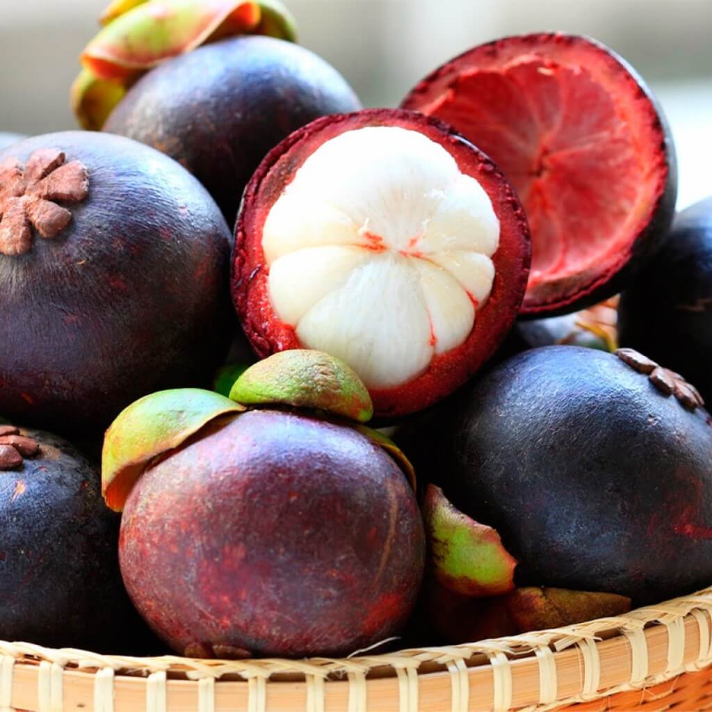 Fruit mangosteen calorie composition and nutritional value