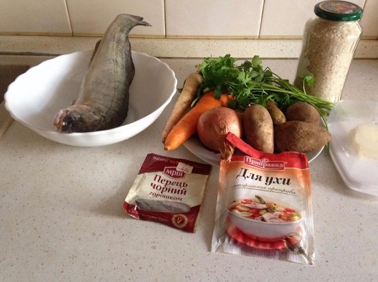 Pike perch soup - recipes with photos