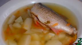 Hvilken fisk laver den lækreste fiskesuppe?