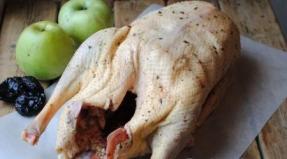 Goose with prunes and apples: recipe with photos