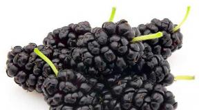 Mulberry wine at home