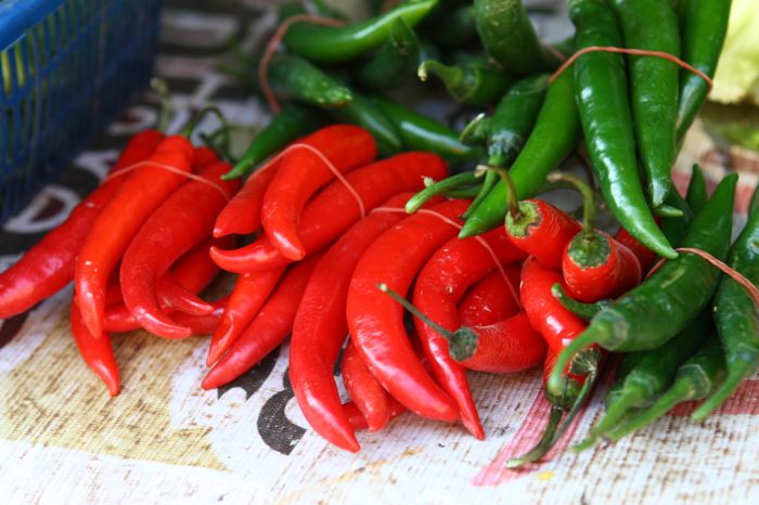 Rød peber: fordelene og skadene ved jorden og friske produkter