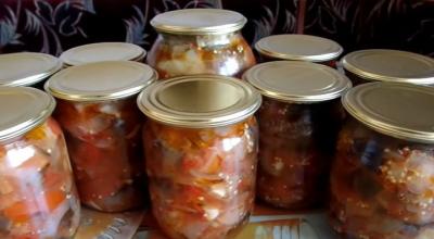 Eggplant salads - recipes for preparations for the winter