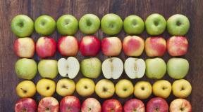 Æbler: gavnlige egenskaber og kontraindikationer Retter med æbler