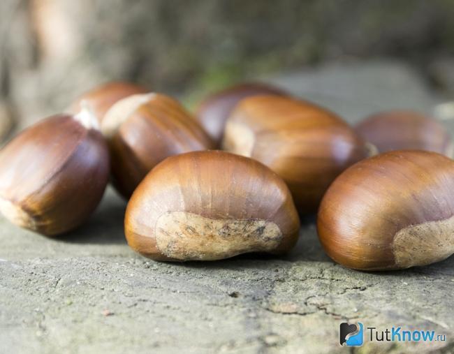 What are valuable edible chestnuts and how to cook them