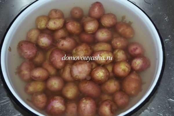 Young potatoes with garlic in a pan