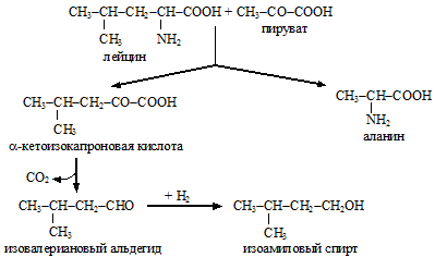 The number and methods of using enzymes for home brewing