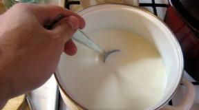 Как бързо да направите перфектно кисело мляко в машина за кисело мляко Температура на ферментация на кисело мляко