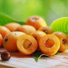 Medlar fruit - health benefits and harms