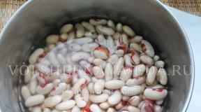 Bean salad.  Bean salad.  Simple recipes for preparing delicious salads Salad with chicken, red beans and croutons