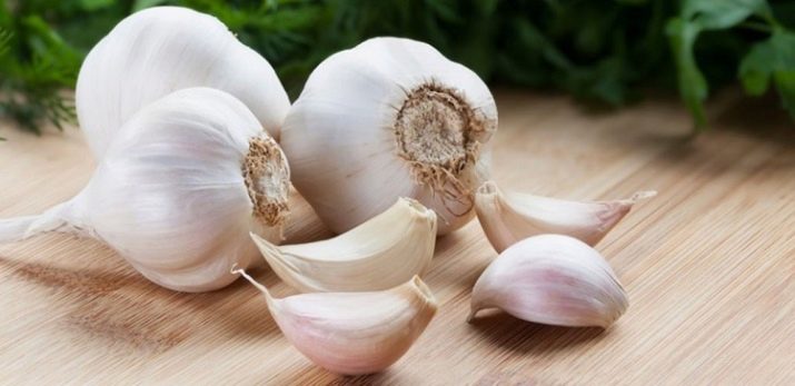 Useful properties and calorie: garlic