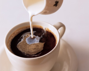 Is it worth drinking coffee with milk, is it harm or good