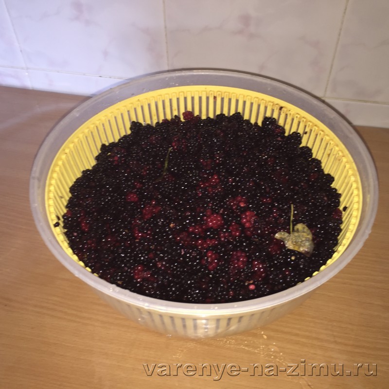 Blackberry Jam, Blackberry Jam ja Jam