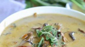 Soup recipe for mushrooms - quick and tasty how to cook mushroom cheese soup