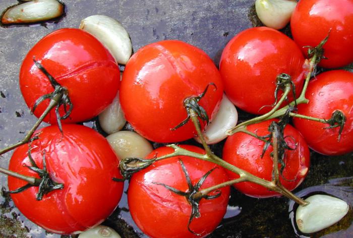 How to pickle tomatoes for the winter in a jar, in a pan, in a bucket, barrel or tub