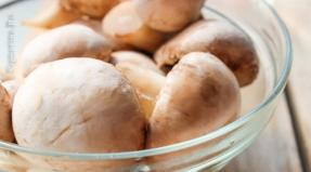 ក្រែម Champignons ala ។  ក្រែមស្រាសំប៉ាញ។  ស្នាដៃធ្វើម្ហូបជាមួយ bacon