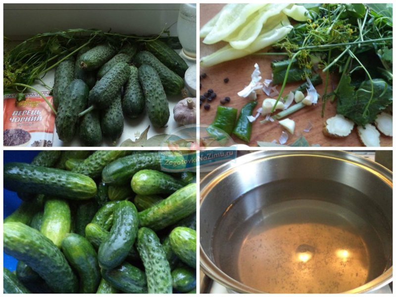 Cucumber Recipe with Basil and Coriander