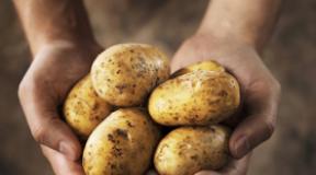 Съвместими ли са картофите и отслабването?
