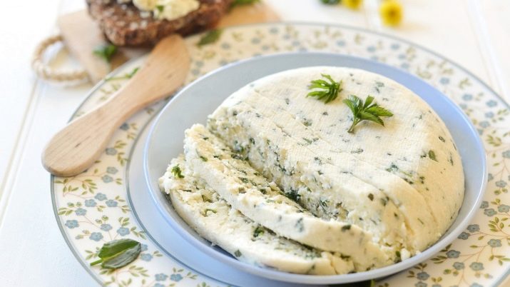 Cottage cheese with herbs: recipes for a great snack