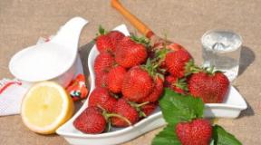 Kuidas teha maasikamoosi