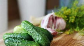 Рецепта за бързи леко осолени краставици в торба