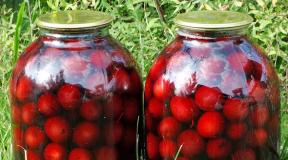 Plum compote for the winter without sterilization: recipes for preparations
