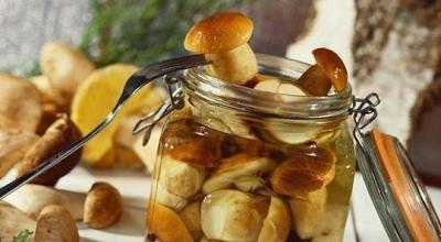 Er det muligt at stege syltede svampe på dåse, og hvordan gør man det?