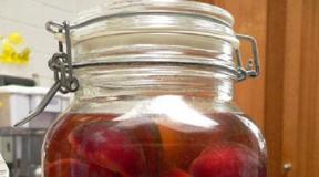 Plum pitted compote recipes for the winter