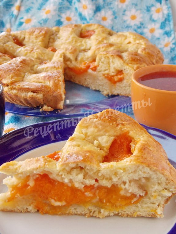 Apricot Yeast Cake