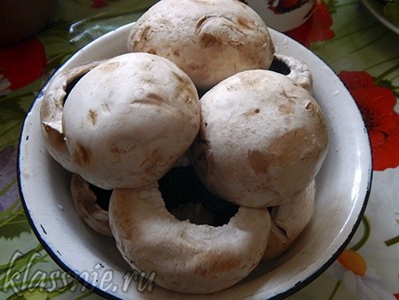 Mushrooms on a bonfire on a wire rack and marinade recipes