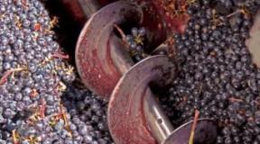 Crusher for grapes: types and principle of operation, how to make your own crusher for grapes with your own hands from wood