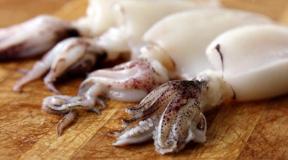 Fyldte blæksprutter - et udvalg af fotoopskrifter