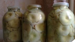The best recipes for pickling milk mushrooms hot and cold