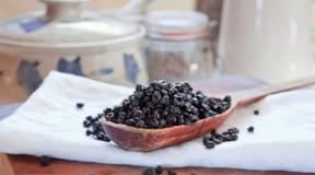 Dried blueberries: beneficial properties and applications Drying blueberries at home