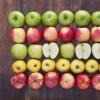 Táo: đặc tính có lợi và chống chỉ định Món ăn với táo