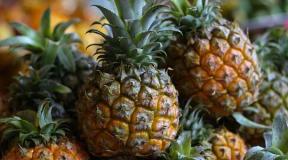 How to choose a ripe pineapple