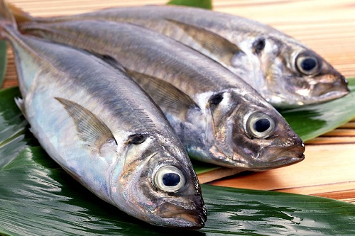 Kala soolamine (mitu retsepti)